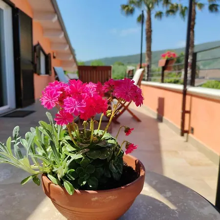 Fuga Inaspettata Apartment Castellabate